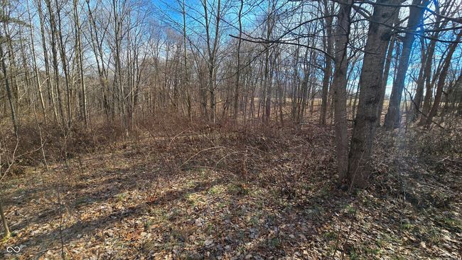 9885 W County Road 75 S, Home with 0 bedrooms, 0 bathrooms and null parking in Medora IN | Image 7