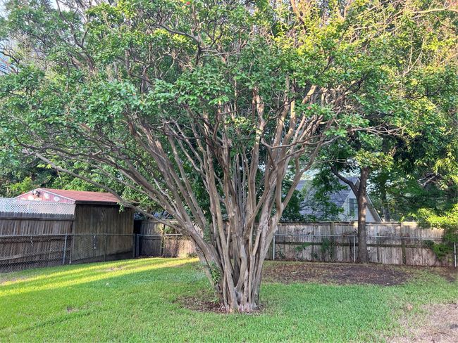 1203 Blanton Dr, House other with 4 bedrooms, 2 bathrooms and null parking in Sherman TX | Image 34