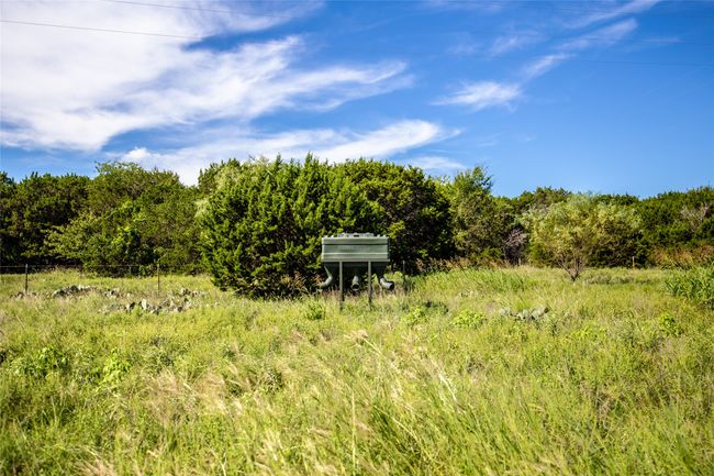 View of landscape featuring a wooded view | Image 32