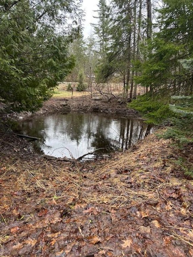 1020 Parkholme Rd, House other with 5 bedrooms, 2 bathrooms and 6 parking in Gravenhurst ON | Image 19