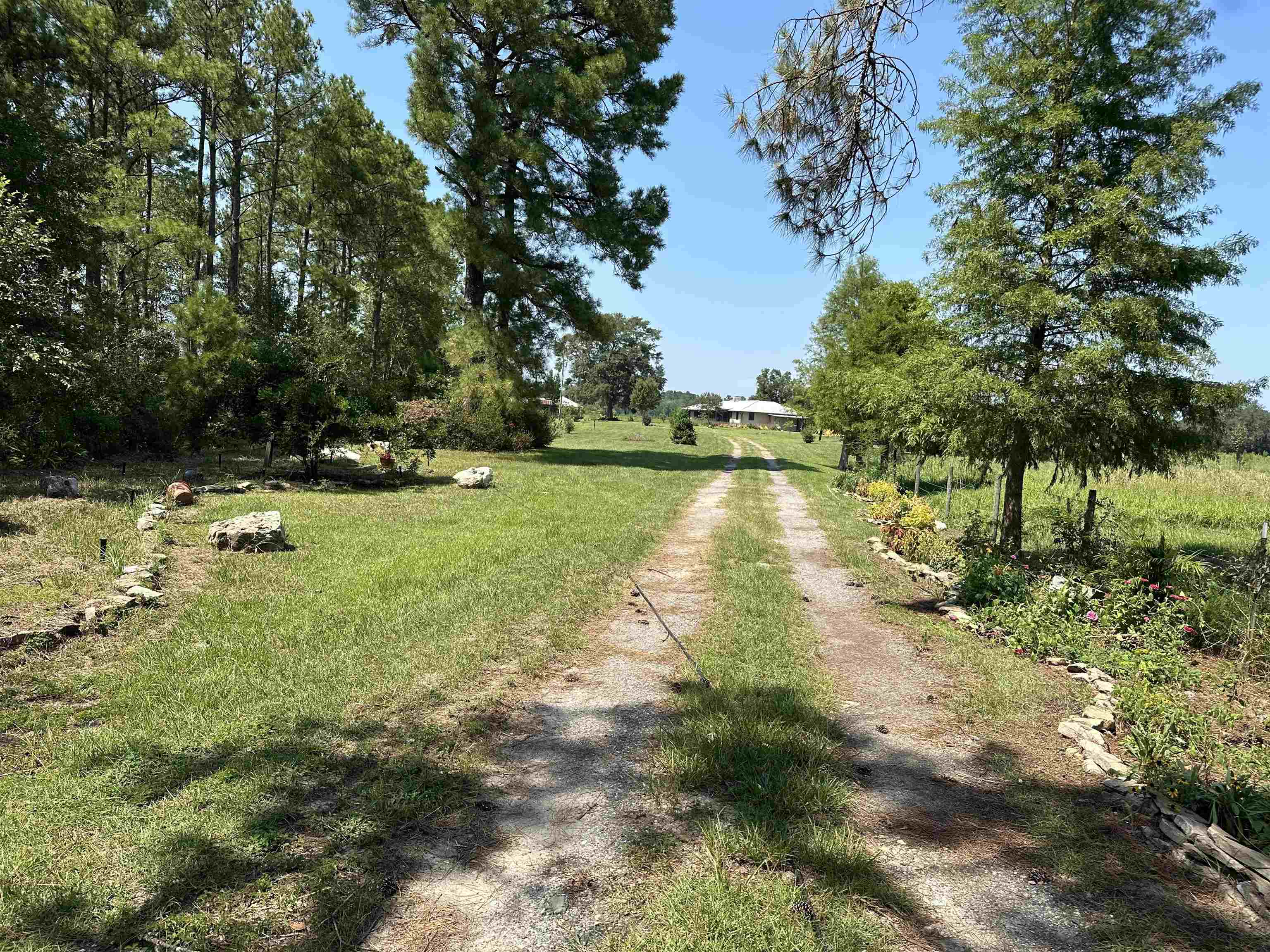 Bassett Dairy Rd, Monticello, FL 32344