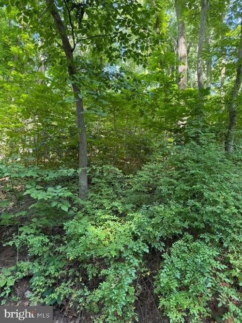 lot-413-0 Lot 413 Easy Hollow Road, FRONT ROYAL, VA, 22630 | Card Image