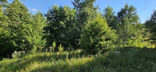 561 Bluff View Dr, Dunlap, TN, 37327 | Card Image