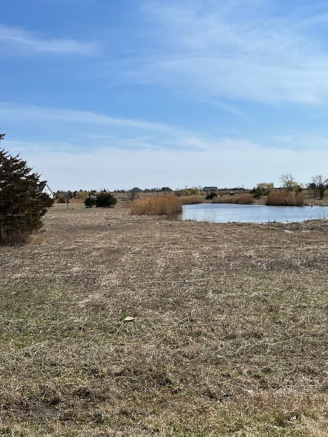 LOT 2 Lake Greenfield Lane, Home with 0 bedrooms, 0 bathrooms and null parking in Gardner IL | Image 7