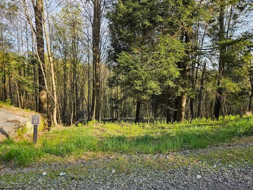 Lot 12 Trailwood Cir, Bruceton Mills, WV, 26525 | Card Image