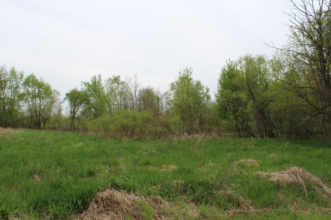 marsh land | Image 27