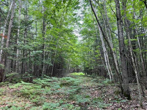 TBD Highway 2, Maple, WI, 54854 | Card Image