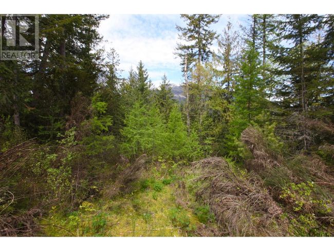 434 Lexington Ave, Home with 0 bedrooms, 0 bathrooms and null parking in Procter BC | Image 37
