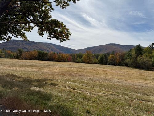 2272 State Route 296, Hunter, NY, 12442-5220 | Card Image