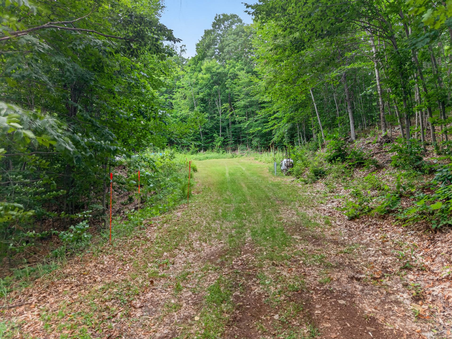 Land in Val-des-Monts 2