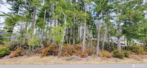 350 E Vine Maple Ln, Union, WA, 98592-9436 | Card Image