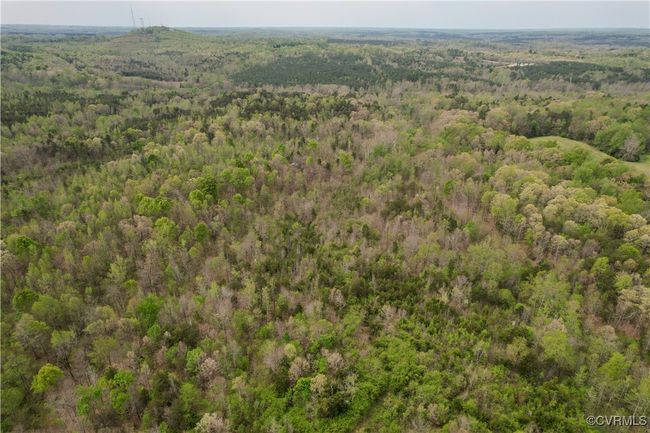 Drone / aerial view with a forest view | Image 23