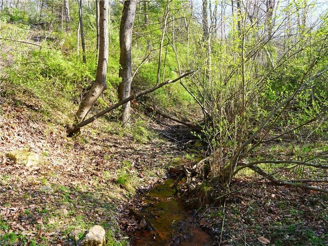 728 Indian Trl, Home with 0 bedrooms, 0 bathrooms and null parking in Henry VA | Image 36