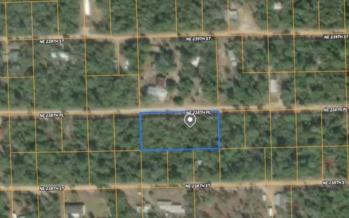 25 Ne 238th Pl, Fort Mc Coy, FL, 32134 | Card Image