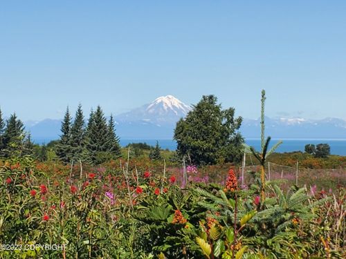 17259 Kimeluk St, Ninilchik, AK, 99639 | Card Image