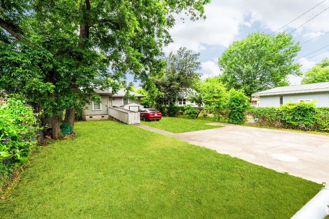 View of green lawn | Image 24