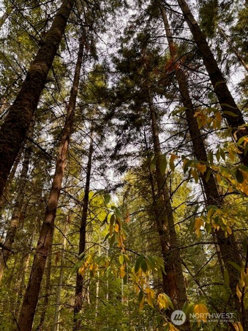 0 Chuckawa Ln Se, Yelm, WA, 98597 | Card Image