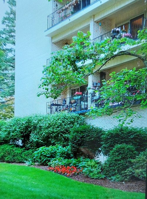apt-5f-407 Franklin Ave, River Forest, IL, 60305-1745 | Card Image