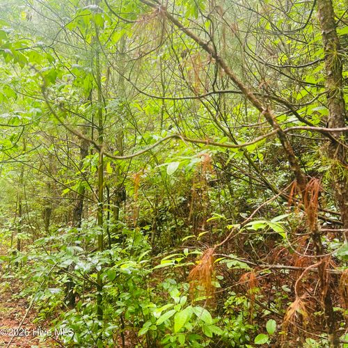 Lot 20 Owl Bluff, Murphy, NC, 28906 | Card Image