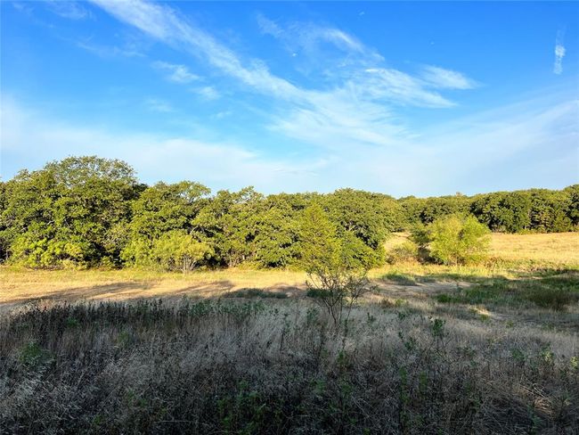 lot 2 Edgin Road, Home with 0 bedrooms, 0 bathrooms and null parking in Bowie TX | Image 14