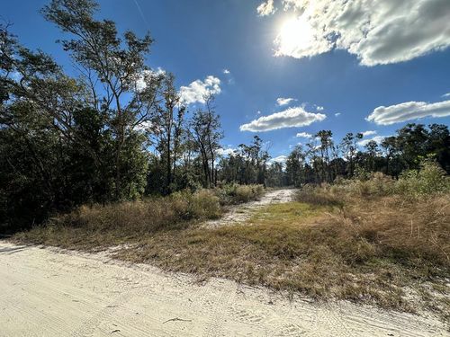 293 Ne 682nd Ave, Old Town, FL, 32680 | Card Image