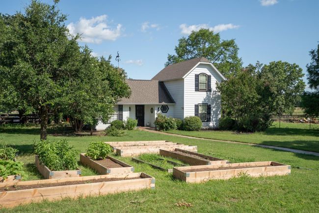 thriving vegetable plants ready for the new owner | Image 37