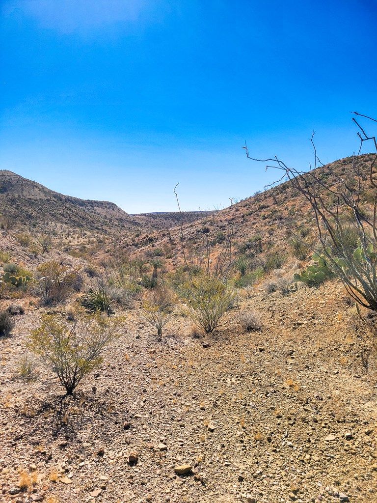 Land in Terlingua 5
