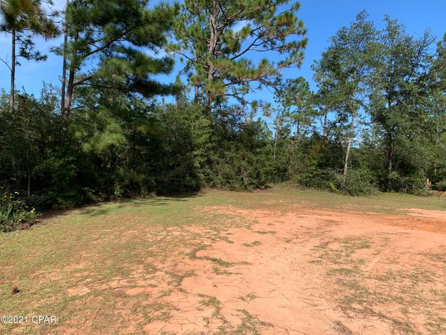 0000 Drury Ln, Home with 0 bedrooms, 0 bathrooms and null parking in Alford FL | Image 8