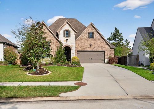 107 Spider Lily Ct, Montgomery, TX, 77316-2167 | Card Image