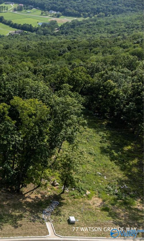 77 Watson Grande Way Se, Owens Cross Roads, AL, 35763-5509 | Card Image