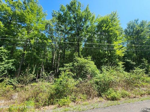 442 Laurel Dr, Jim Thorpe, PA, 18229 | Card Image