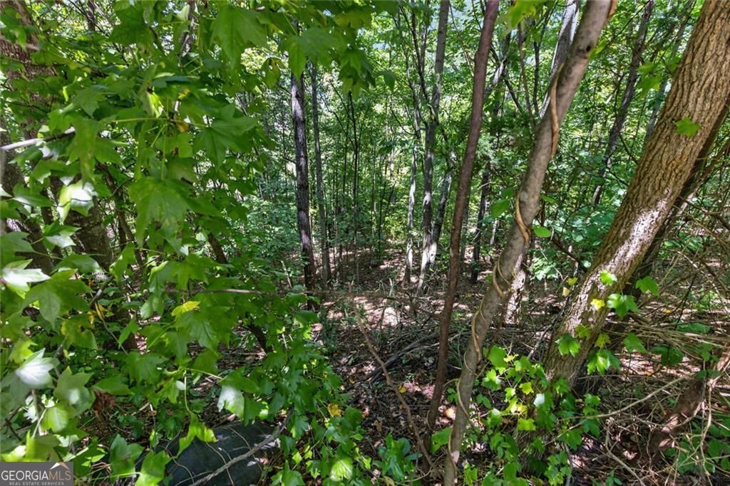 Land in Auburn 5