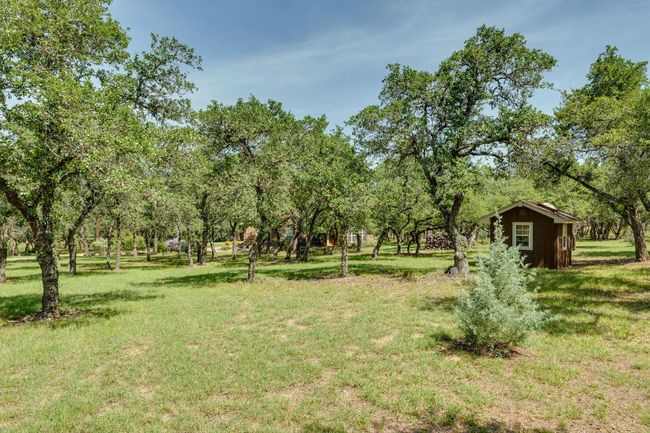 The front yard has both beautiful trees and grassy areas. | Image 35