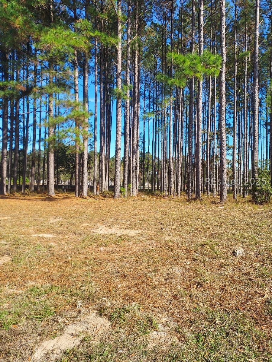 Land in Hardeeville