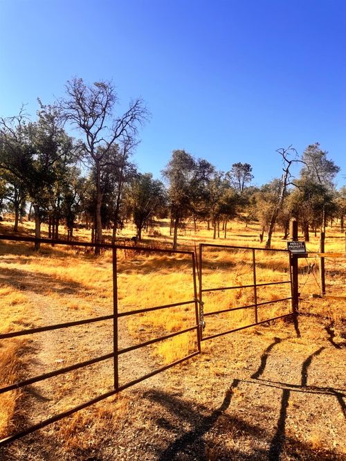 25388 White Thorne Road, Clovis, CA, 93619 | Card Image