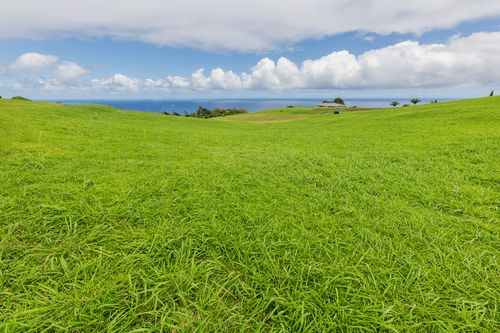 36-3358 Kuwili Lani Pl, LAUPAHOEHOE, HI, 96764-1004 | Card Image