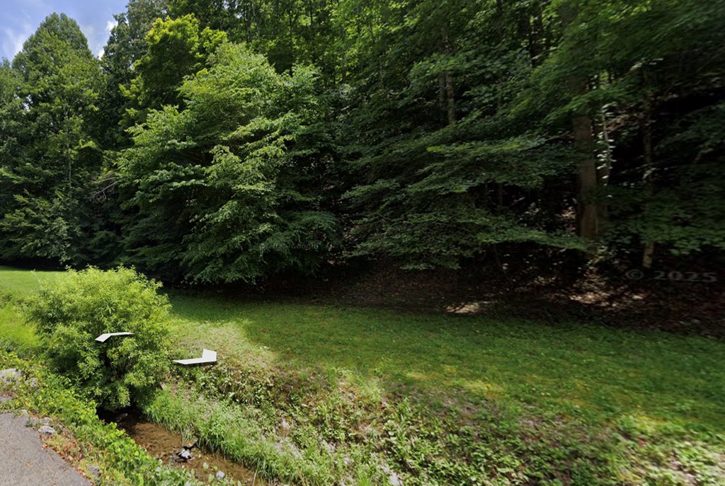 Land in Grundy 2