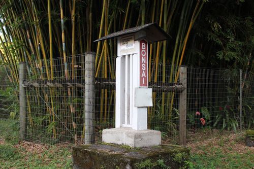 17-856-A Olaa Rd, KURTISTOWN, HI, 96760 | Card Image