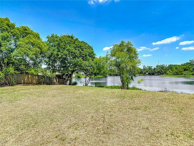 Beautiful pond view | Image 12