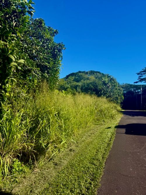 1501 Oio St, PAHOA, HI, 96778 | Card Image