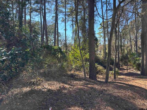 lot 17 Greenwood Trl, Bullard, TX, 75757 | Card Image