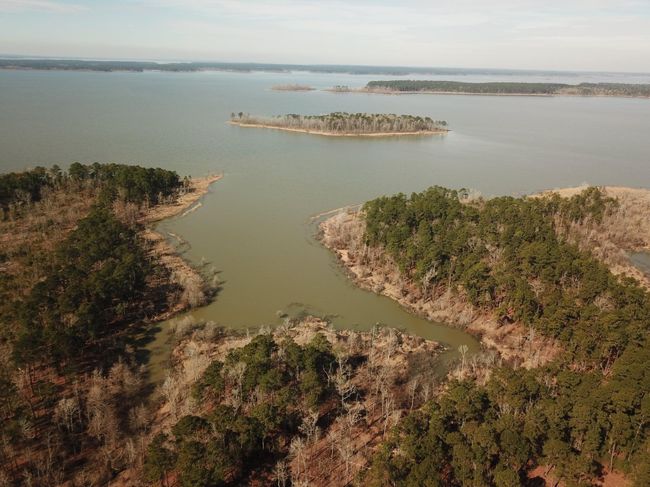 TRACT-1-24 - 024 Private Road 6028, Home with 0 bedrooms, 0 bathrooms and null parking in Brookeland TX | Image 5