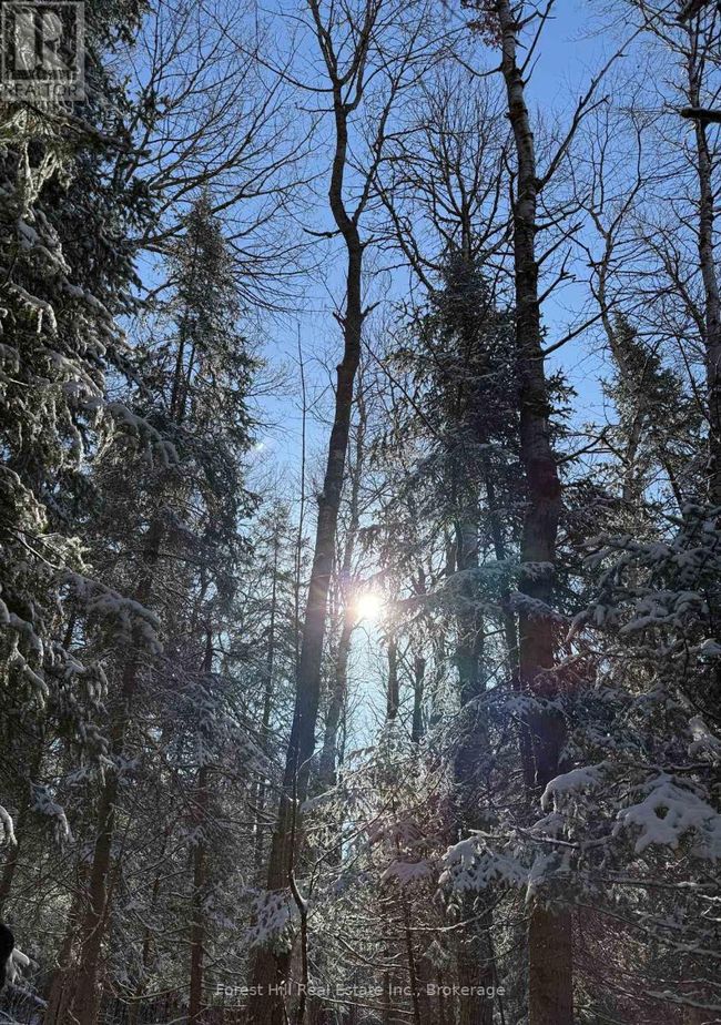 27 Old Nipissing Road N Road, Home with 0 bedrooms, 0 bathrooms and null parking in Parry Sound Remote Area (Pringle) ON | Image 5
