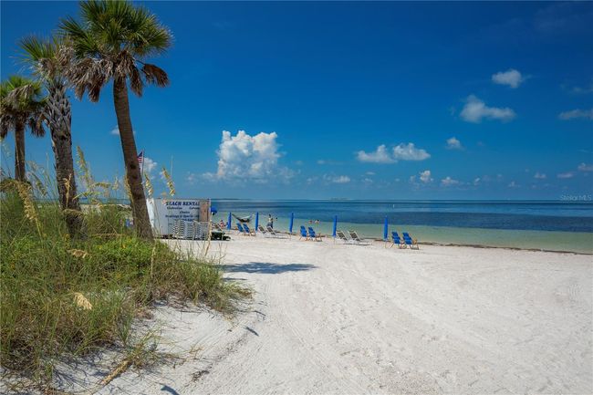 Howard Park Beach | Image 41