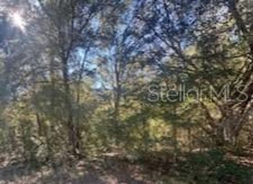 10014 N Athenia Dr, Citrus Springs, FL, 34434-3601 | Card Image