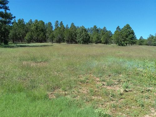344 Nf-83, Pecos, NM, 87552 | Card Image