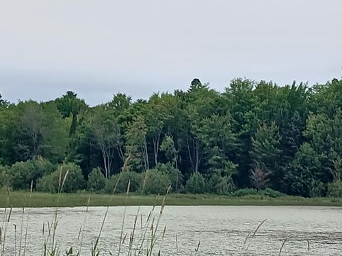 Parcel 7 Keweenaw Pass Road, Lake Linden, MI, 49945 | Card Image