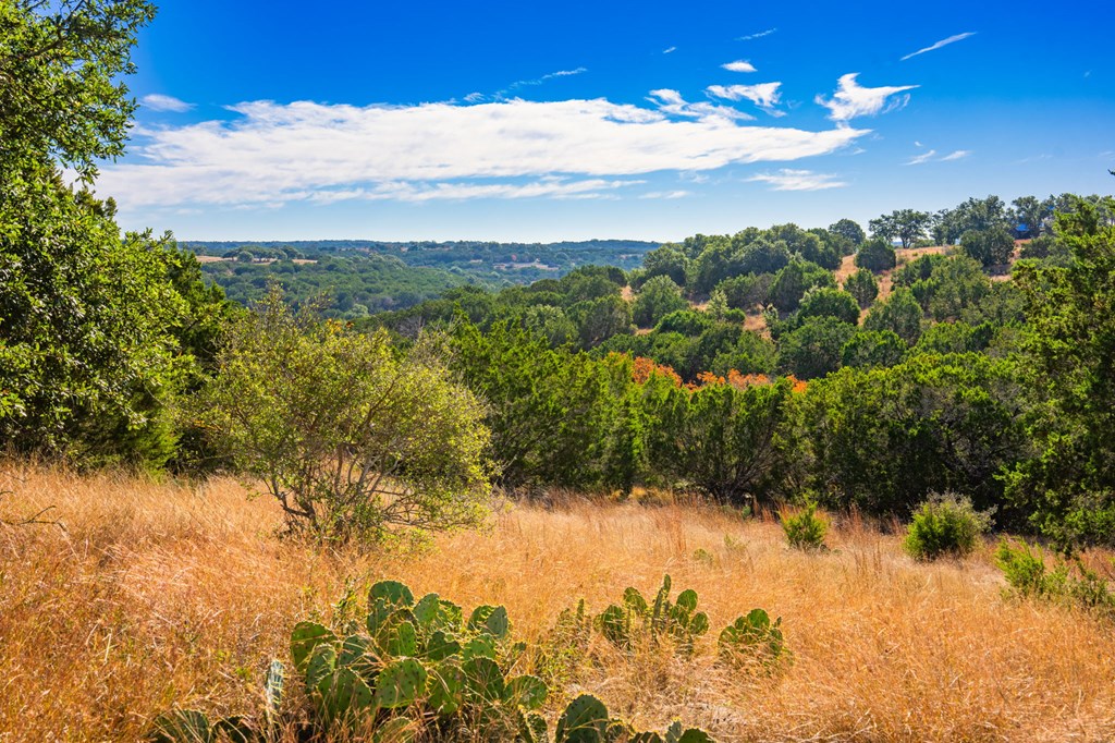 Land in Kerrville 5