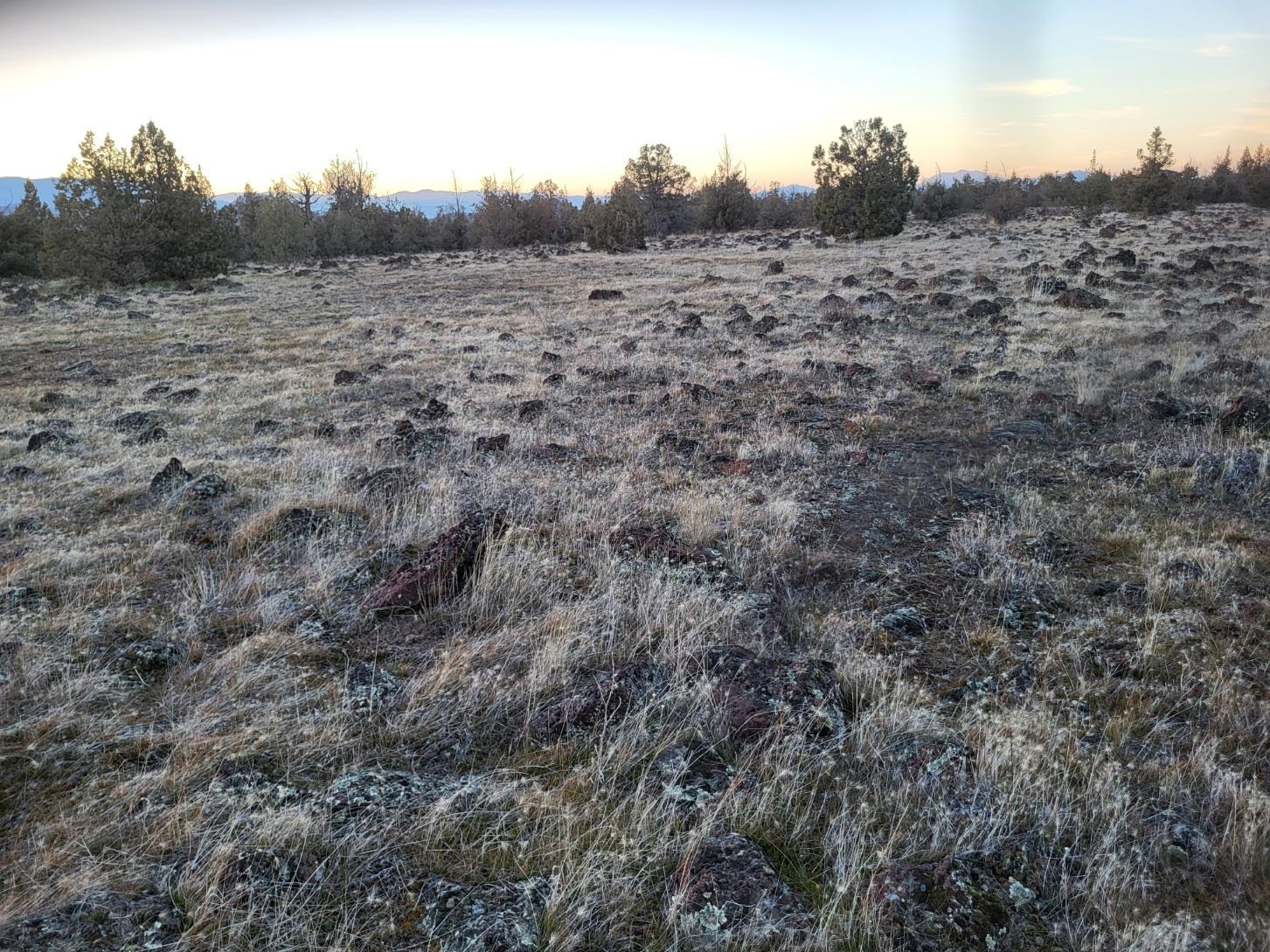 Land in Montague 5