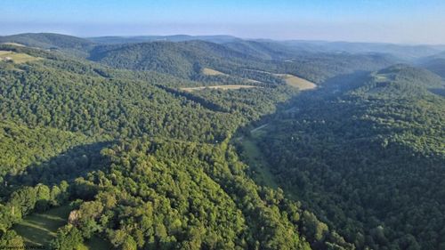 00 Saltlick Rd, Terra Alta, WV, 26764 | Card Image